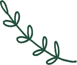 葉っぱのイラスト