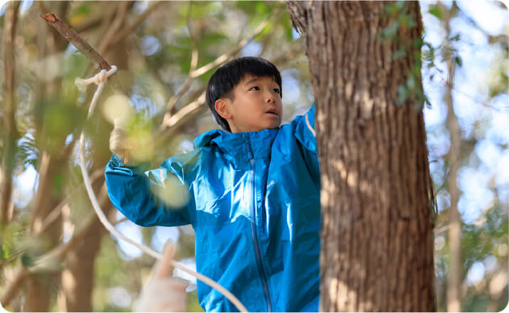 トレジャーフォレスト