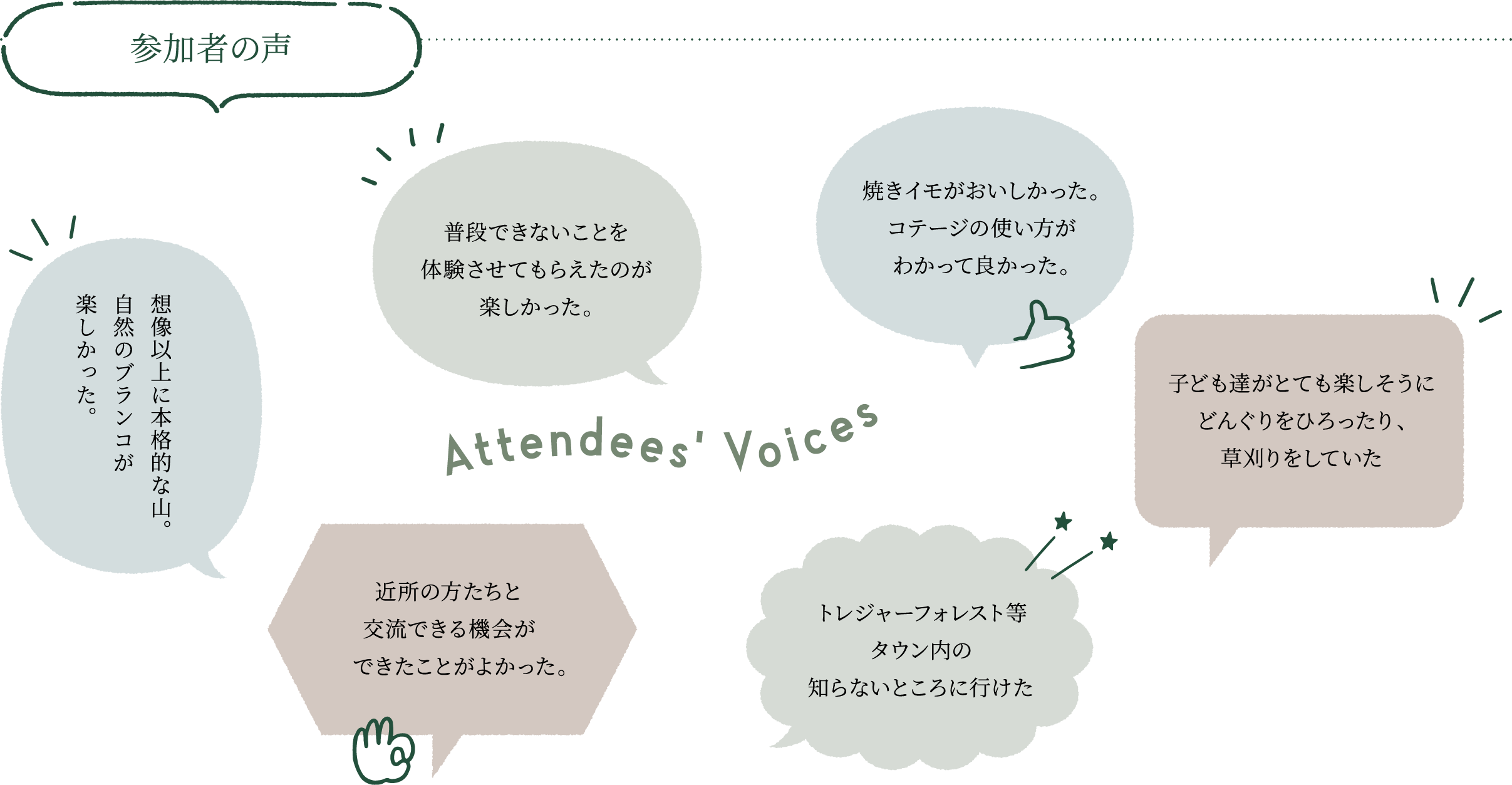 参加者の声